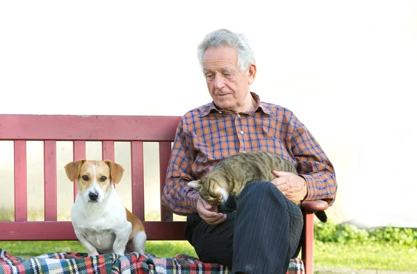 Homem com animais de estimação — Fotografia de Stock