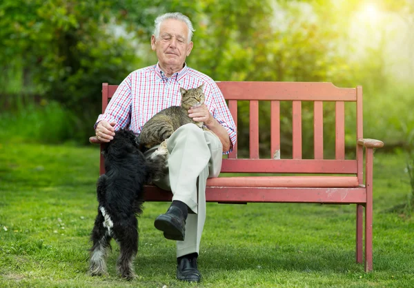 Viejo con perro y gato — Foto de Stock