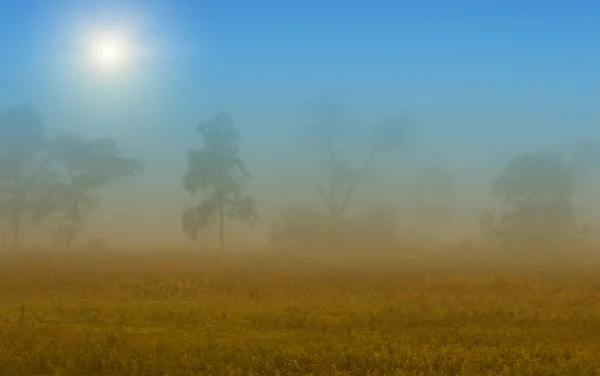 多雾的风景 — 图库照片