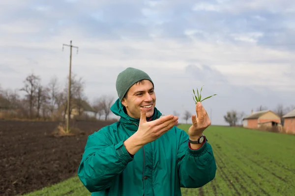 Peasant with seedlings — Stock Photo, Image