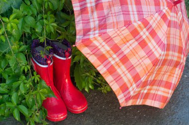 gumboots ve şemsiye