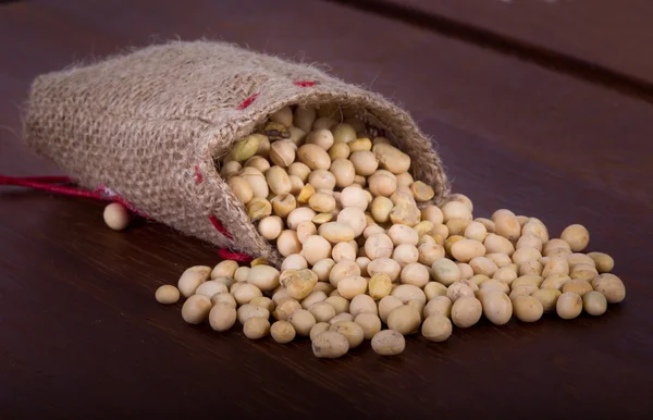 Soybeans in sack — Stock Photo, Image