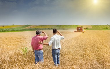 Business partners on wheat field clipart