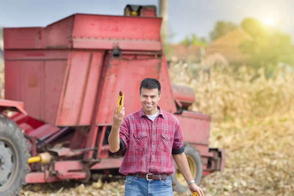 Agriculteur montrant épi de maïs — Photo