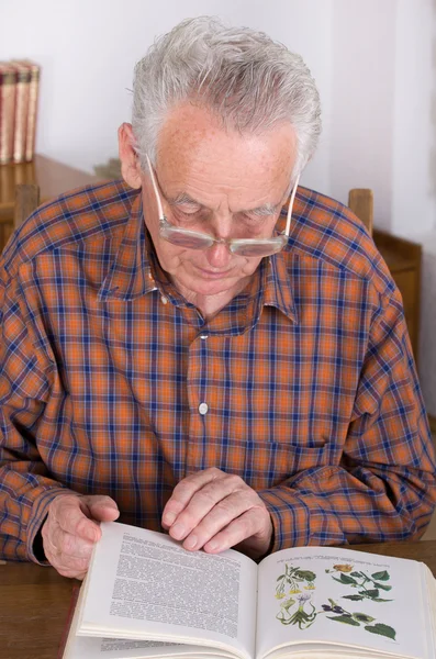 Old man reading book — Stock Photo, Image