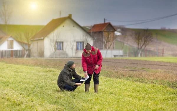 Agricultores em terras agrícolas — Fotografia de Stock