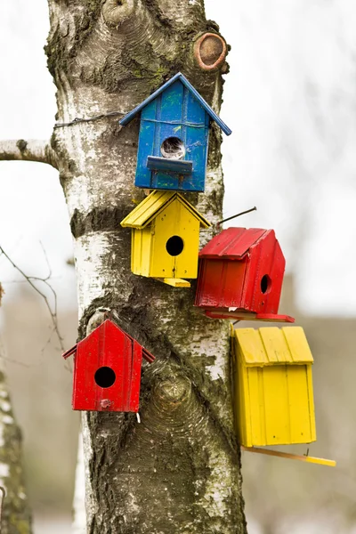 Casas de aves — Foto de Stock