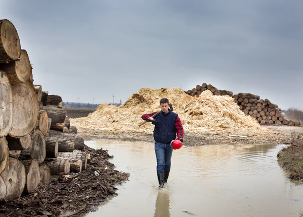 Holzheber — Stockfoto