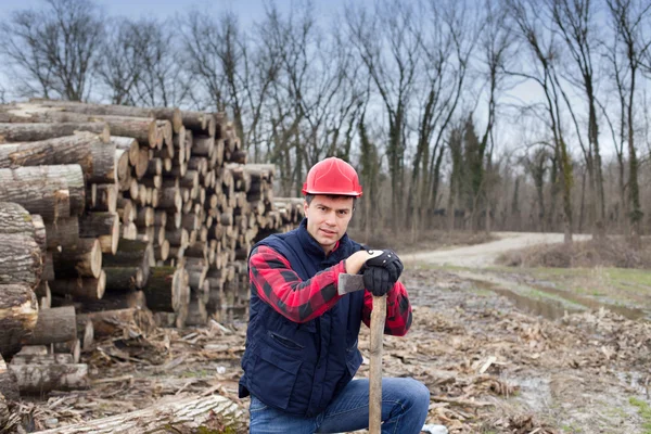 Lumberjack — Stock Photo, Image