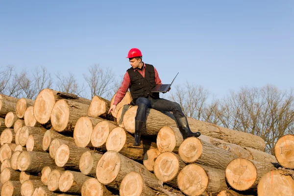 Dřevařský inženýr — Stock fotografie
