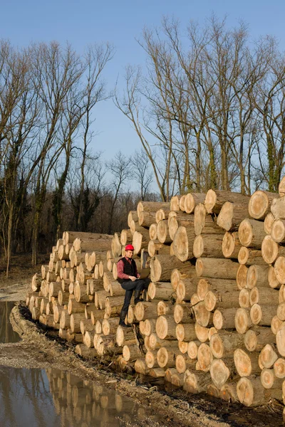 Fűrészelt faanyagok-mérnök — Stock Fotó