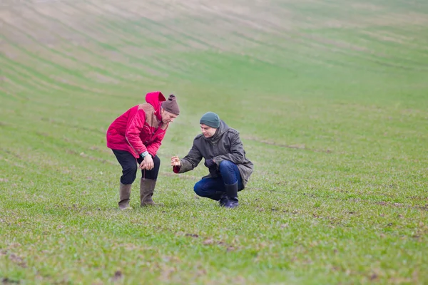 Farmers with seedlings — Stock Photo, Image