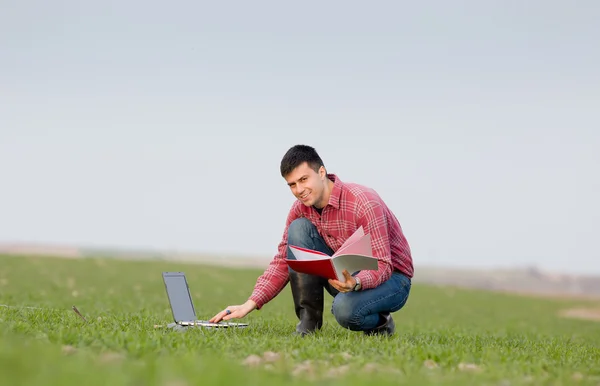 Agriculteur avec ordinateur portable sur le terrain — Photo