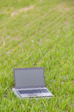 Buğday filizi üstünde laptop