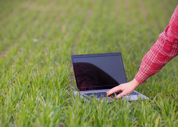 Working on laptop on field — Stock Photo, Image