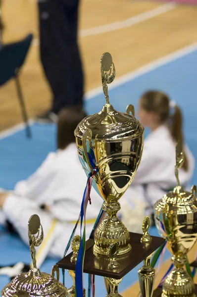 Taekwondo championship cups — Stockfoto