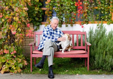 Komuta sizde ile köpek