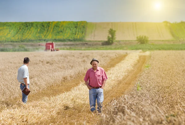 Menschen auf dem Weizenfeld — Stockfoto