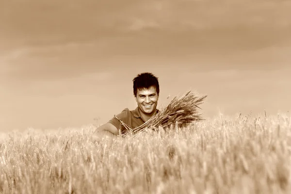 Buğday tarlasında çiftçi — Stok fotoğraf