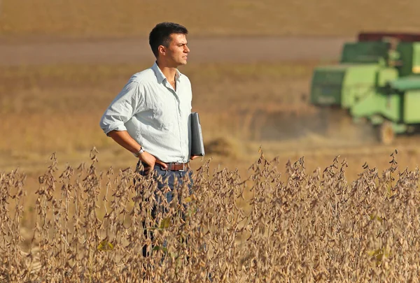 Man on soybean field — Stock Photo, Image