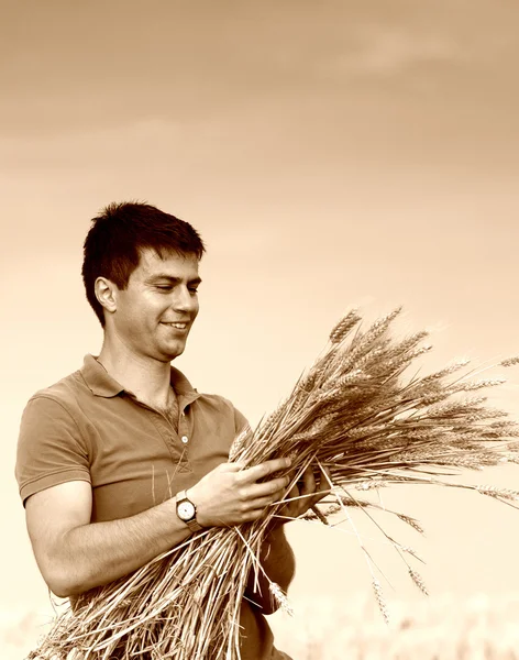 Farmer with ripe wheat — Stock Photo, Image