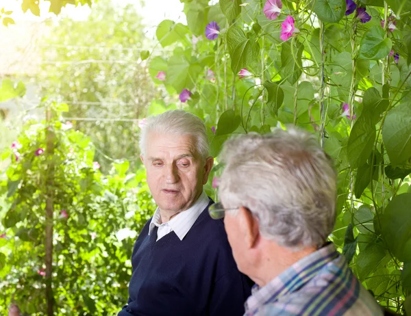 Senioren chatten — Stockfoto