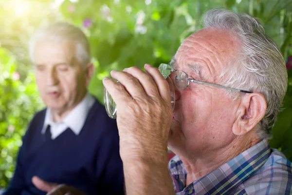 Hommes âgés dans le jardin — Photo