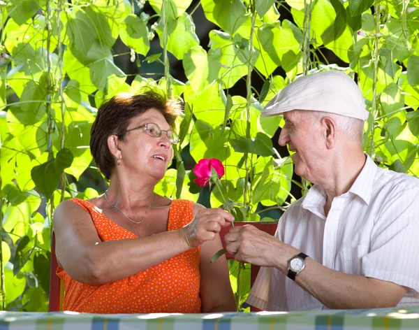 Romance casal sênior — Fotografia de Stock