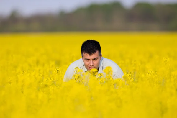 Businessman in rapeseed field — Stock Photo, Image
