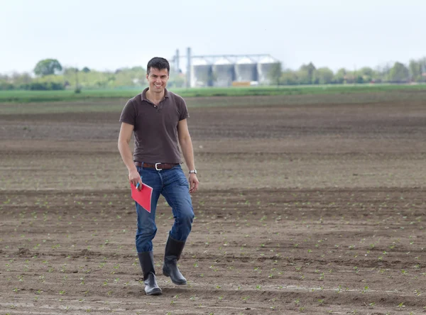 Agricoltore con germogli in campo — Foto Stock