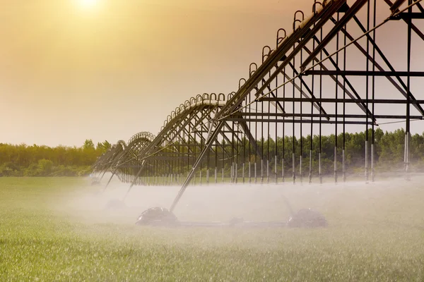 Sistema di irrigazione — Foto Stock