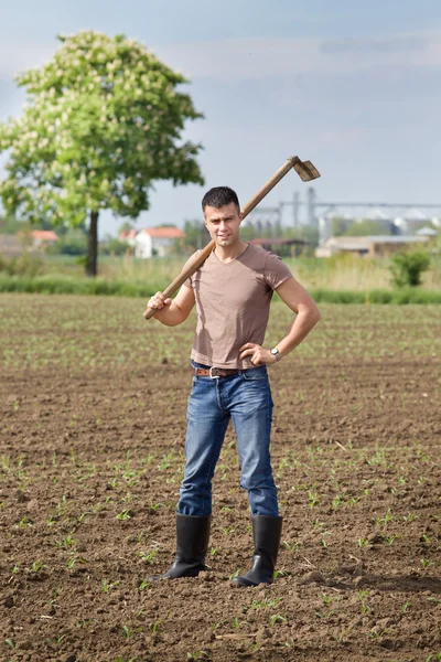 Landwirt mit Hacke im Maisfeld — Stockfoto