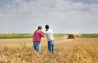 Buğday alanında iş ortakları