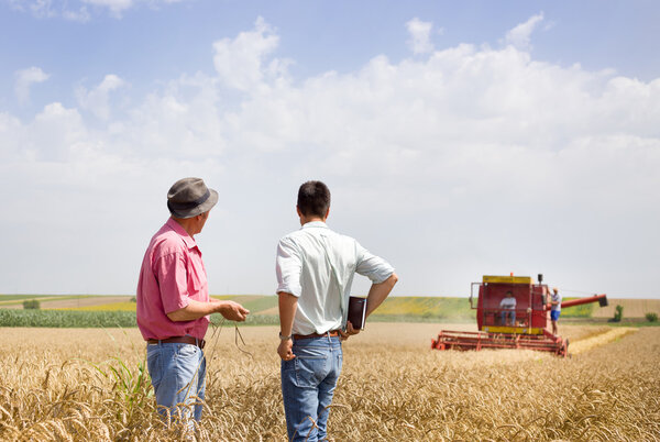 Business partners on wheat field