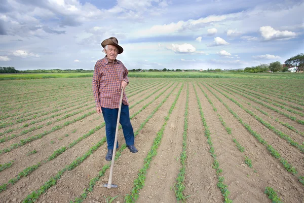 Peasant with hoe in the field — Stock Photo, Image