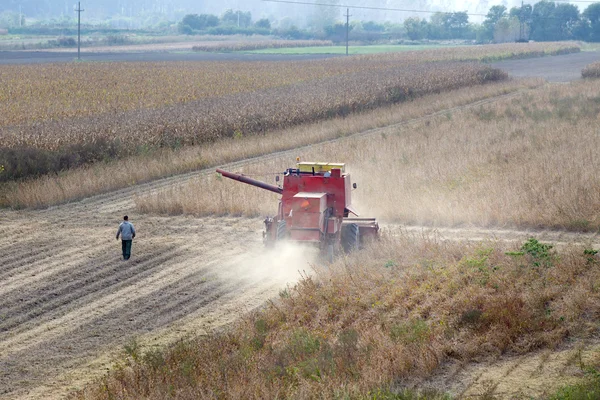 Combine in soybean field — Stock Photo, Image