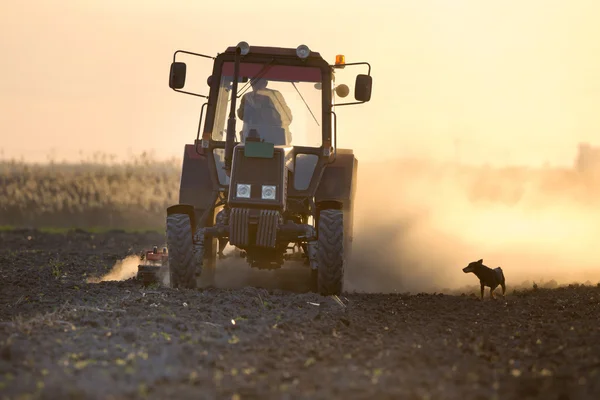 Трактор оранка поля — стокове фото