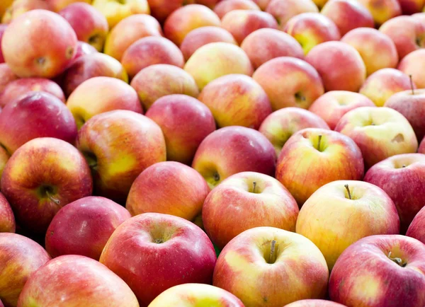 Lined up apples — Stock Photo, Image