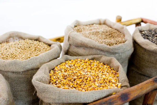 Grains in sacks — Stock Photo, Image