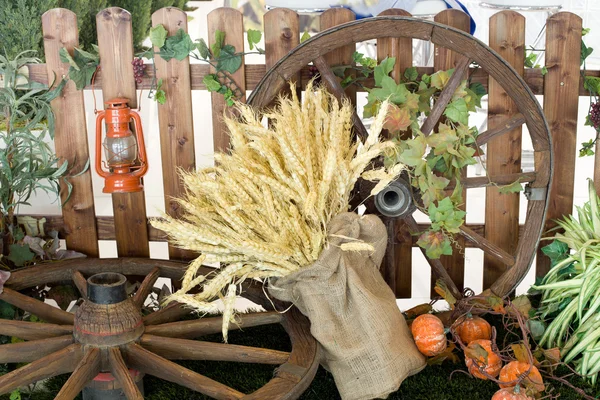 Erzeugnisse aus dem Herbst — Stockfoto