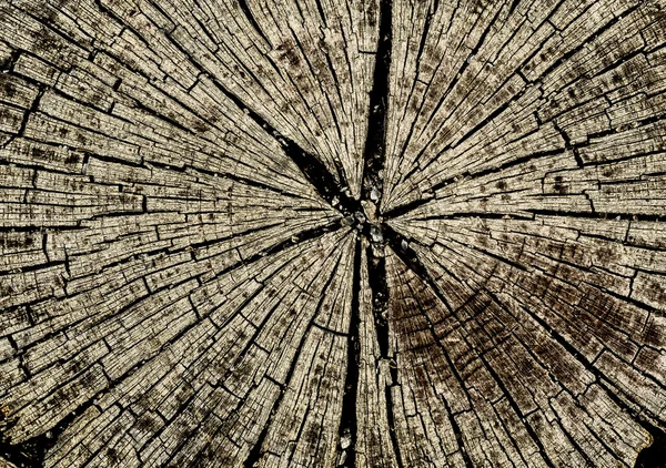 Wooden texture — Stock Photo, Image