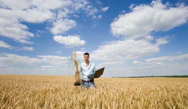 Agricultor com laptop e ramo de trigo — Fotografia de Stock