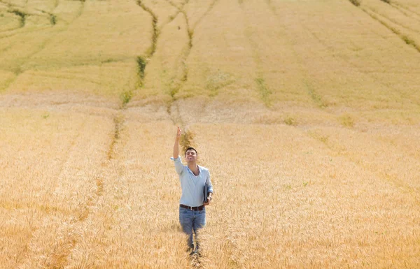 Happy farmer in barley field — Stock Photo, Image