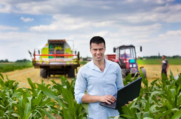 Agricoltore con computer portatile durante il raccolto Fotografia Stock