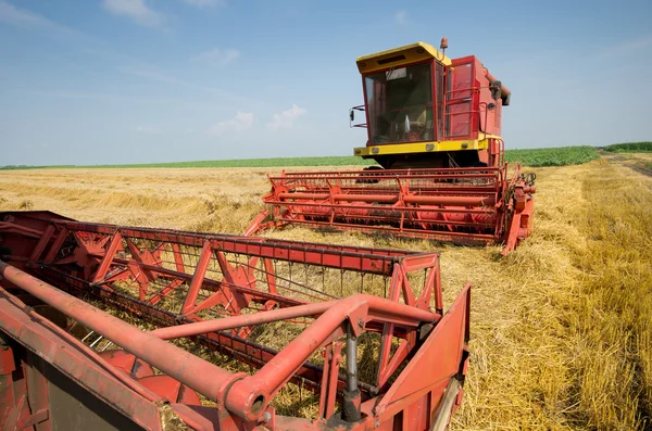 Skördetröska i korn fältet — Stockfoto