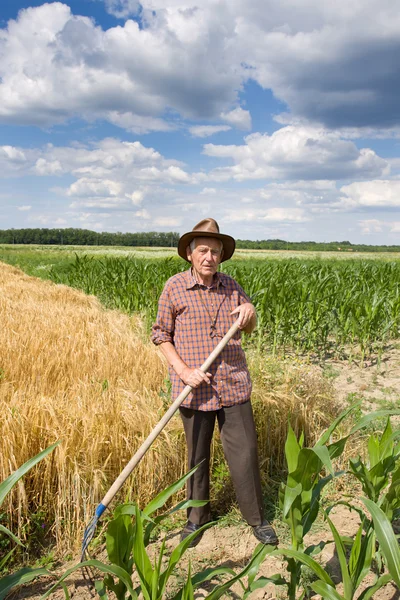 Hombre viejo en el campo — Foto de Stock