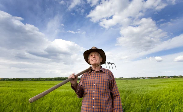 Senio boertje in het veld — Stockfoto