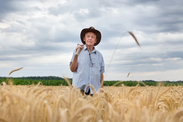 Bauer mit Gabel im Gerstenfeld — Stockfoto