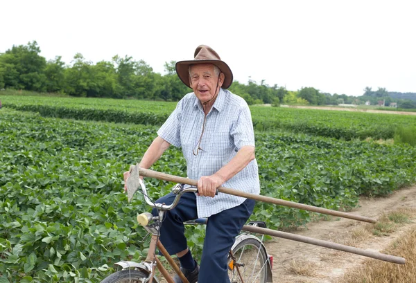 Senior landbouwer met een fiets — Stockfoto