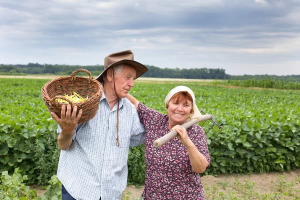 Senior paar op landbouwgrond — Stockfoto